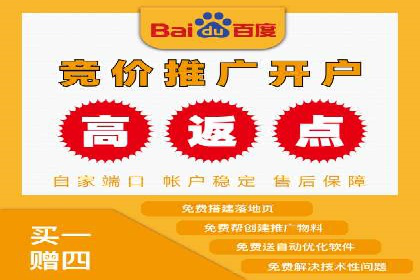 百度推广公司案例分析：精准定位，助力企业精准营销