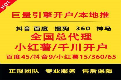 竞价广告在XX行业的成功应用案例